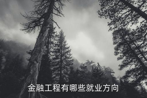 金融方向有什么工作,金融工程有哪些就業方向