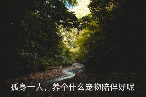 孤身一人，養個什么寵物陪伴好呢