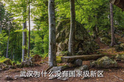 武漢為什么沒有國家級新區