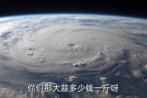 越南大蒜多少錢一斤統價,明年大蒜能多少錢一斤