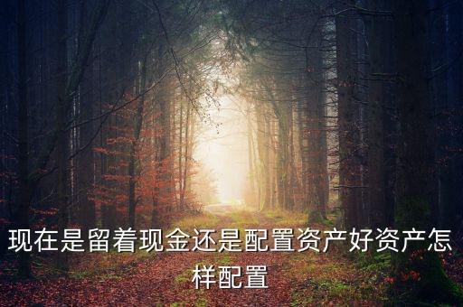 現在是留著現金還是配置資產好資產怎樣配置
