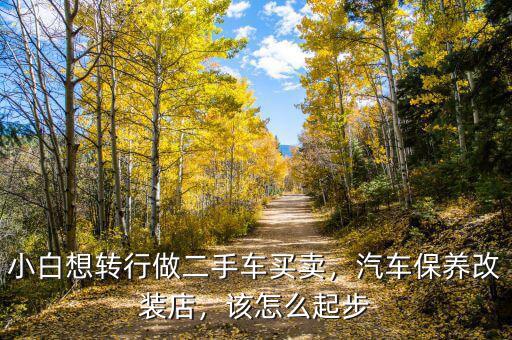 小白想轉行做二手車買賣，汽車保養改裝店，該怎么起步