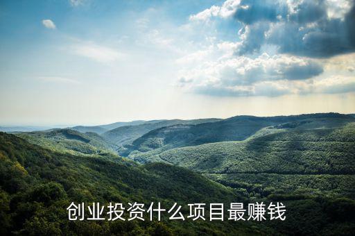 創業投資什么項目最賺錢