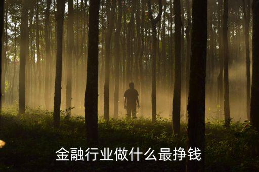泛金融是什么意思,經濟與金融的區別是什么