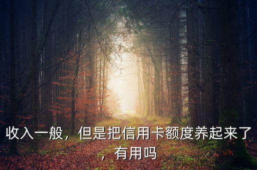 信用卡多少額度適合養卡,但是把信用卡額度養起來了