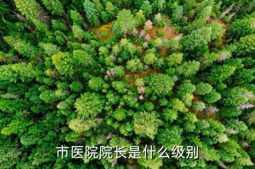 王道富什么級別,監獄長是什么級別