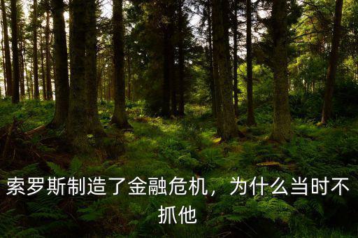 索羅斯制造了金融危機，為什么當時不抓他