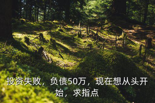 投資失敗，負債50萬，現在想從頭開始，求指點