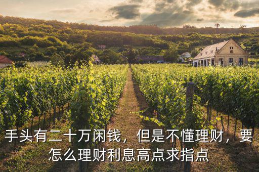 手頭有二十萬閑錢，但是不懂理財，要怎么理財利息高點求指點