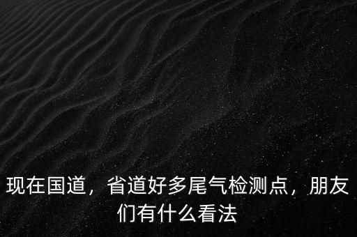 現在國道，省道好多尾氣檢測點，朋友們有什么看法