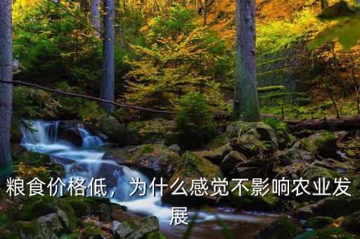 糧食價格低，為什么感覺不影響農業發展