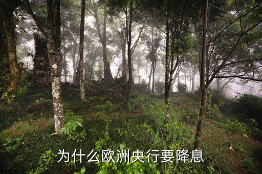 央行為什么連續降息,為什么歐洲央行要降息
