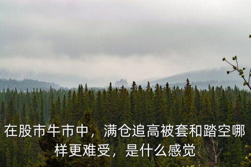 在股市牛市中，滿倉追高被套和踏空哪樣更難受，是什么感覺