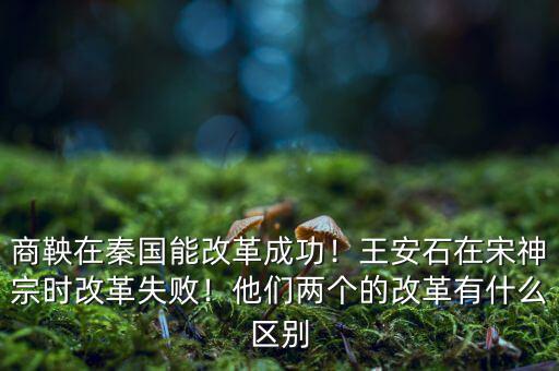 有什么比較成功的改革,他們兩個的改革有什么區別