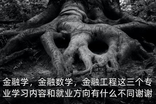 金融學(xué)，金融數(shù)學(xué)，金融工程這三個專業(yè)學(xué)習(xí)內(nèi)容和就業(yè)方向有什么不同謝謝