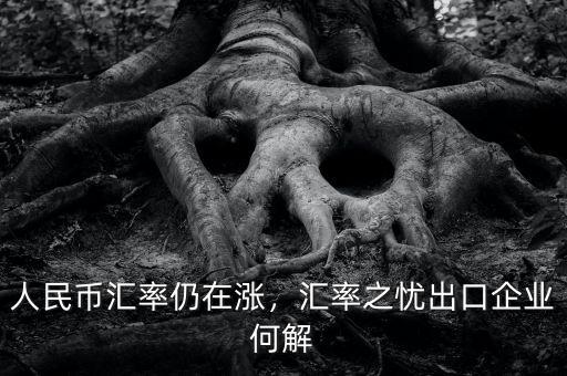 人民幣匯漲出口怎么辦,匯率之憂出口企業何解