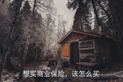 想買商業保險，該怎么買