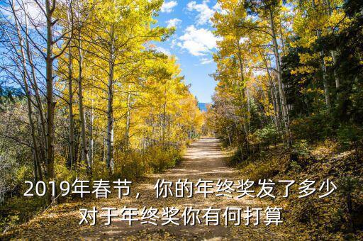 2019年春節，你的年終獎發了多少對于年終獎你有何打算