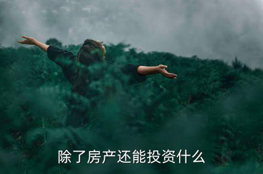 除了房產還能投資什么
