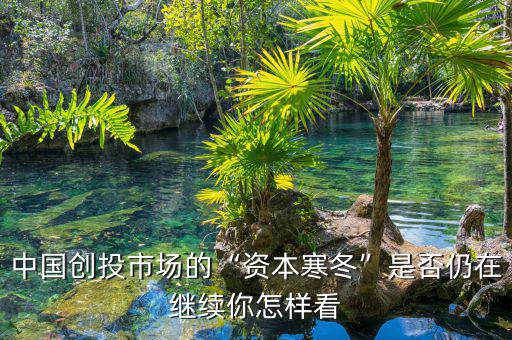 什么是創投市場,有多少創投概念是騙局