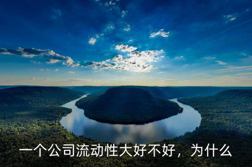 怎么判斷企業年流動性好不好,一個公司流動性大好不好