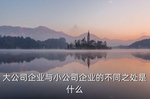 什么樣的公司是大公司,大公司小公司到底有什么區別