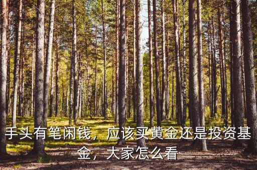 手頭有筆閑錢，應該買黃金還是投資基金，大家怎么看