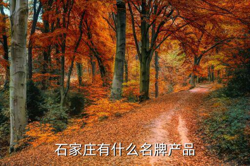 石家莊有什么名牌產品
