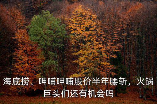 海底撈、呷哺呷哺股價半年腰斬，火鍋巨頭們還有機會嗎