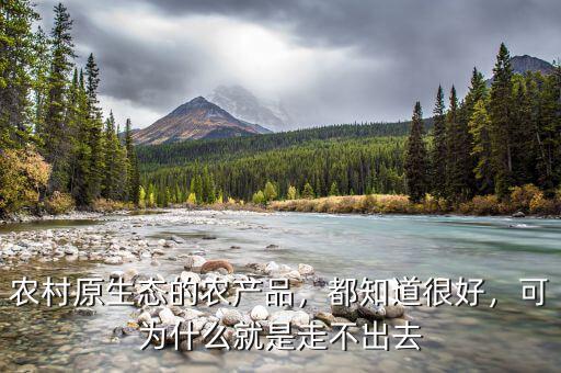 農村原生態的農產品，都知道很好，可為什么就是走不出去