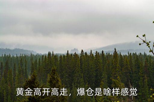 黃金高開高走，爆倉(cāng)是啥樣感覺