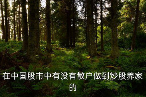 在中國股市中有沒有散戶做到炒股養家的