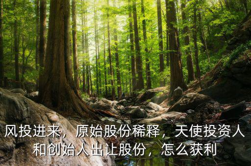 風投進來，原始股份稀釋，天使投資人和創始人出讓股份，怎么獲利