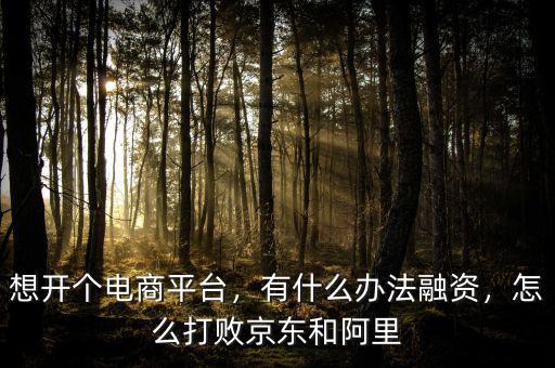 想開個(gè)電商平臺(tái)，有什么辦法融資，怎么打敗京東和阿里