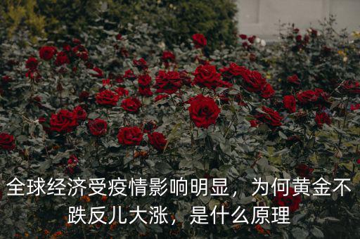 全球經濟受什么影響,如果全球經濟崩盤會怎樣