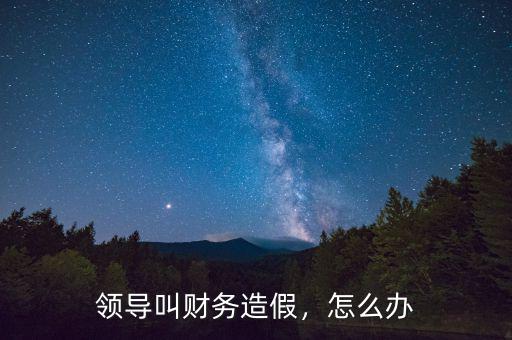 領導叫財務造假，怎么辦