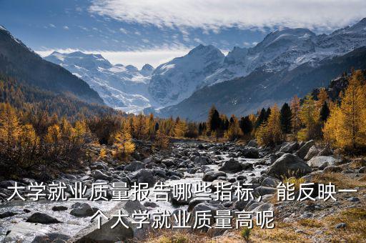 什么是就業指標,大學就業質量報告哪些指標