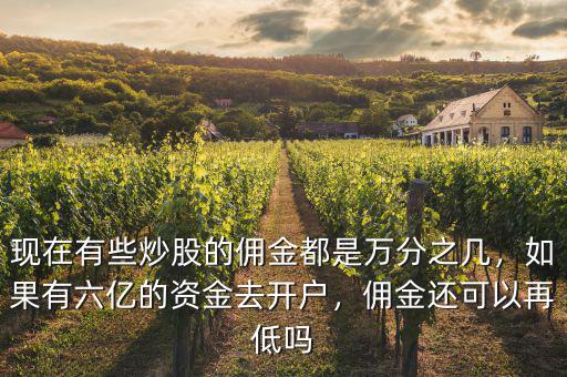現(xiàn)在有些炒股的傭金都是萬(wàn)分之幾，如果有六億的資金去開(kāi)戶，傭金還可以再低嗎