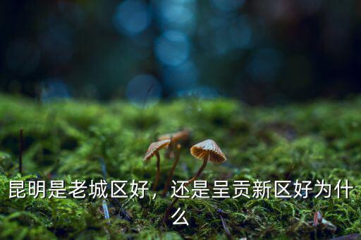 昆明是老城區好，還是呈貢新區好為什么