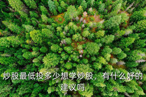 炒股最低投多少想學炒股，有什么好的建議嗎