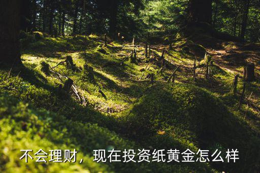 不會理財，現在投資紙黃金怎么樣