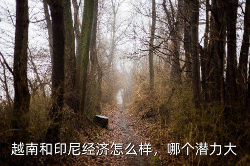 印度尼西亞鋼鐵業怎么樣,印度尼西亞是一個怎樣的國家