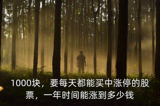 1000塊，要每天都能買中漲停的股票，一年時間能漲到多少錢