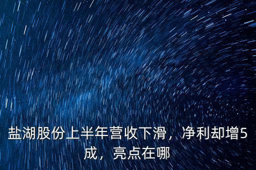 鹽湖股份上半年?duì)I收下滑，凈利卻增5成，亮點(diǎn)在哪