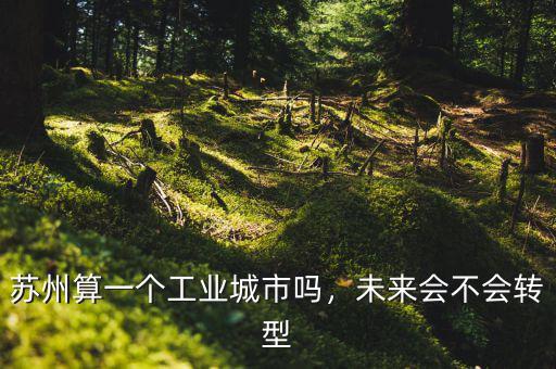蘇州算一個工業城市嗎，未來會不會轉型
