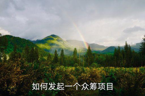 如何發起一個眾籌項目