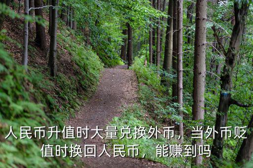 人民幣升值時大量兌換外幣，當外幣貶值時換回人民幣，能賺到嗎