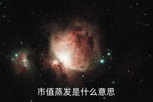 市值蒸發是什么意思