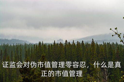 為什么要做市值管理,證監(jiān)會(huì)對偽市值管理零容忍