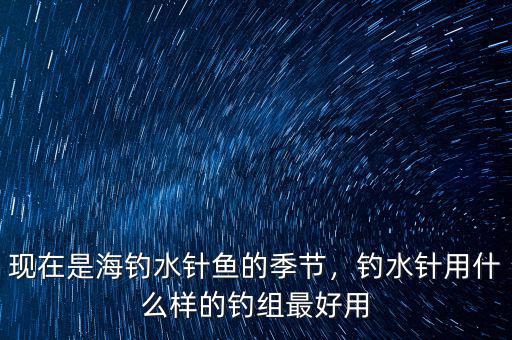 生物水針是什么,現在是海釣水針魚的季節